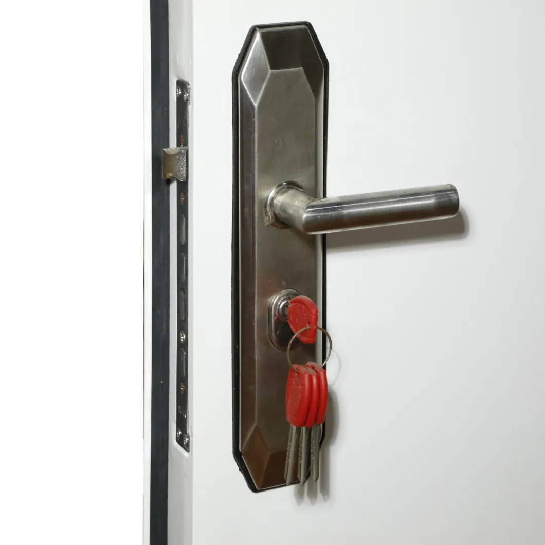 High Quality Cheap Prehung Modern Design Entry T Interior Steel Door Tubular Lock