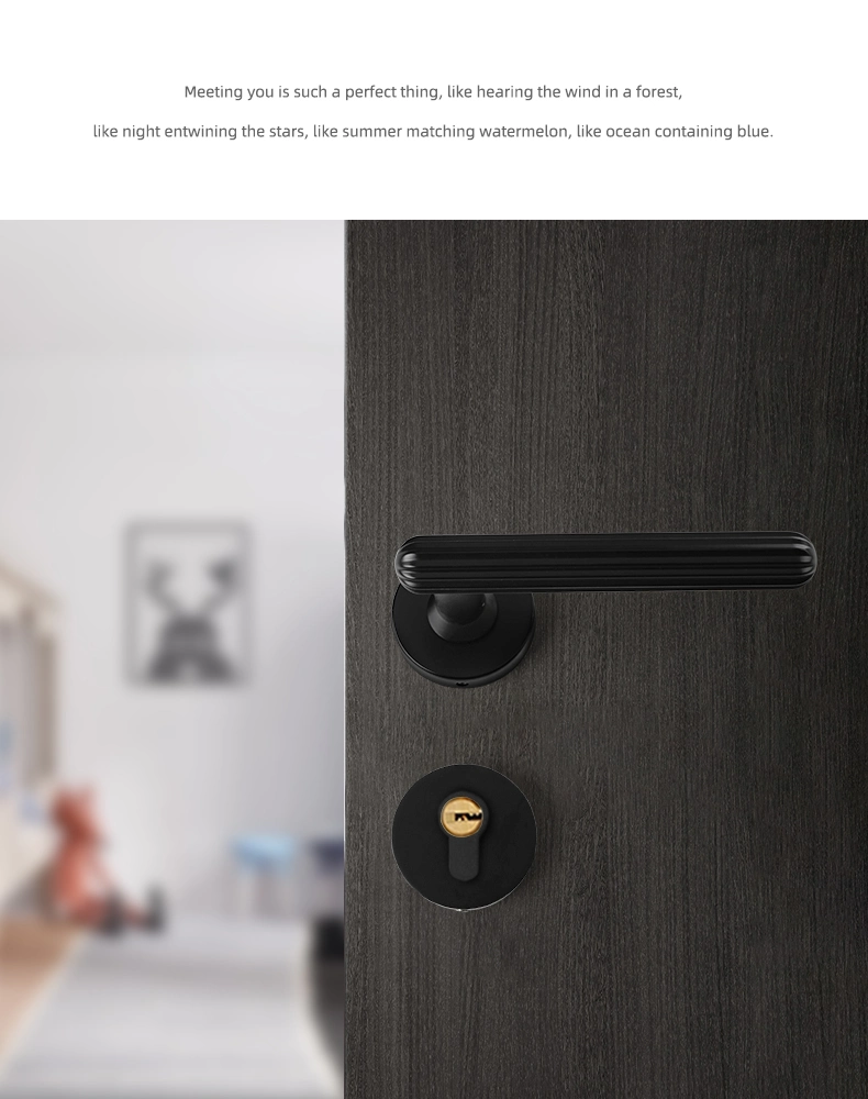 Dooroom Brass Door Lock Set Interior Door Lever Dummy Privacy Passage Key Escutcheon Black Gold Lock Handle