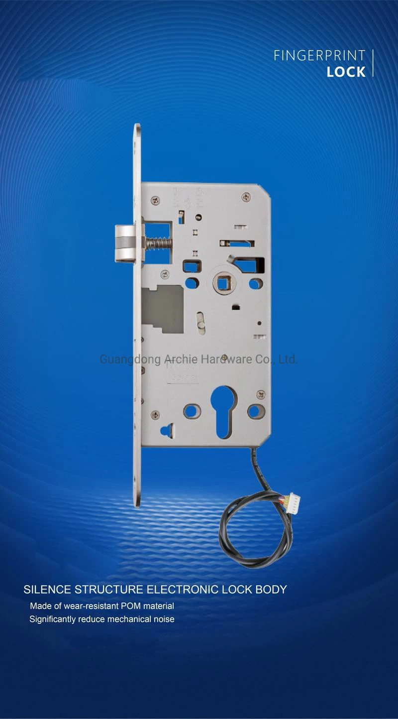 Keyless Biometric Smart Card Fingerprint Door Lock for Entrance Door