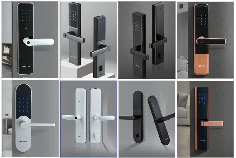 Luxury Smart Door Lock/Entrance Digital Handle Smart Fingerprint Electric Door Electronic Lock