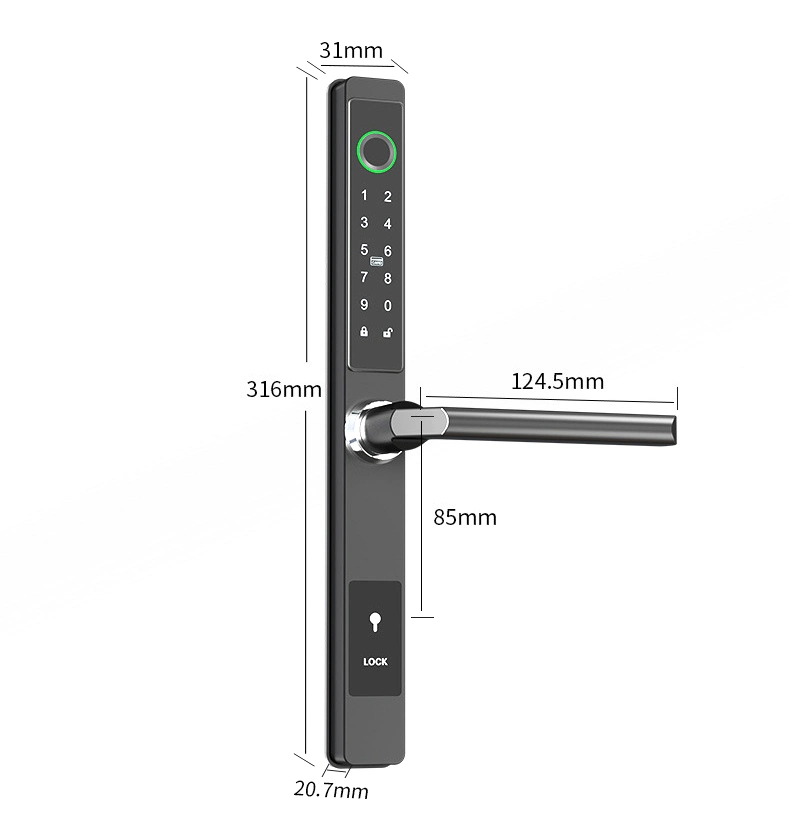 Narrow Door Frame Home Hotel Security Entrance Smart Lock Door with WiFi Fingerprint Key