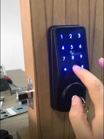 Biometric Lock Ttlock Bluetooth APP Smart Door Lock Fingerprint Passcode Open Smart Lock