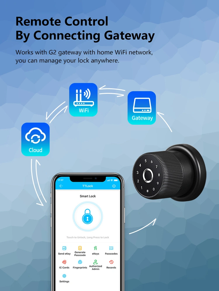 Ttlock APP Electronic Fingerprint Digital Door Knob Locks