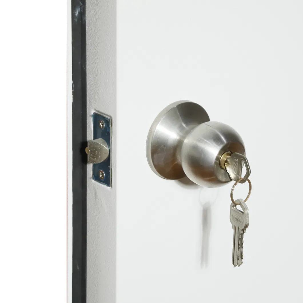 High Quality Cheap Prehung Modern Design Entry T Interior Steel Door Tubular Lock