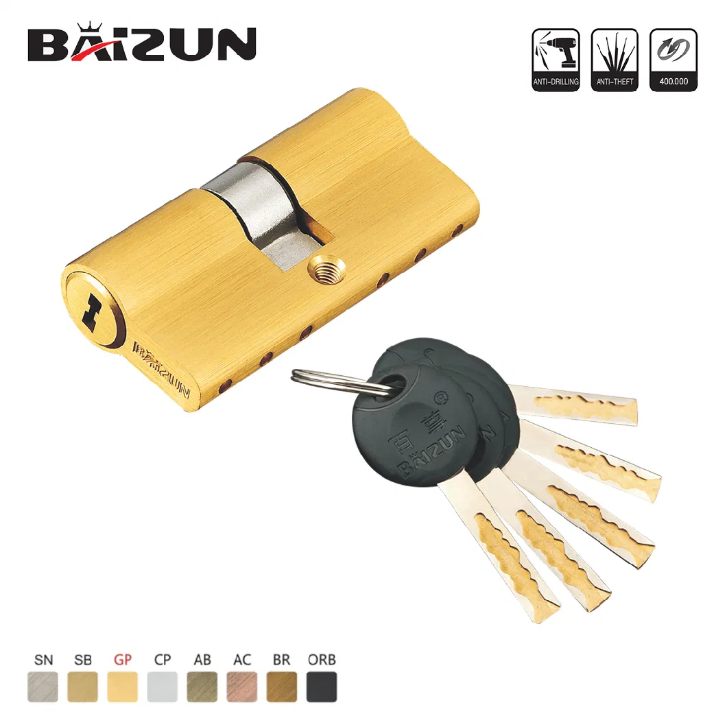 Customized Colour Brass Smart Cylinder Lock for House Security