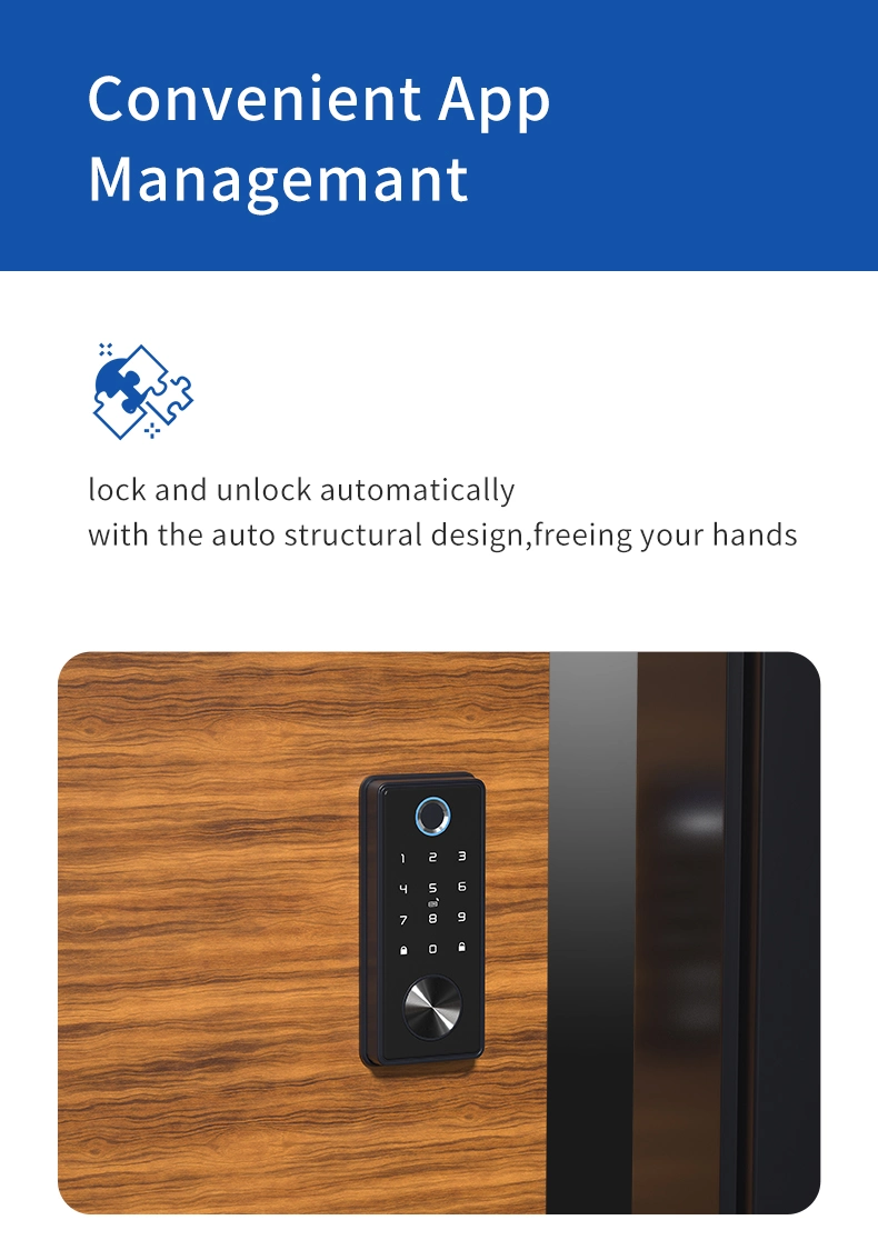 Ttlock APP Remote Control Biometric Fingerprint Password Smart Door Lock