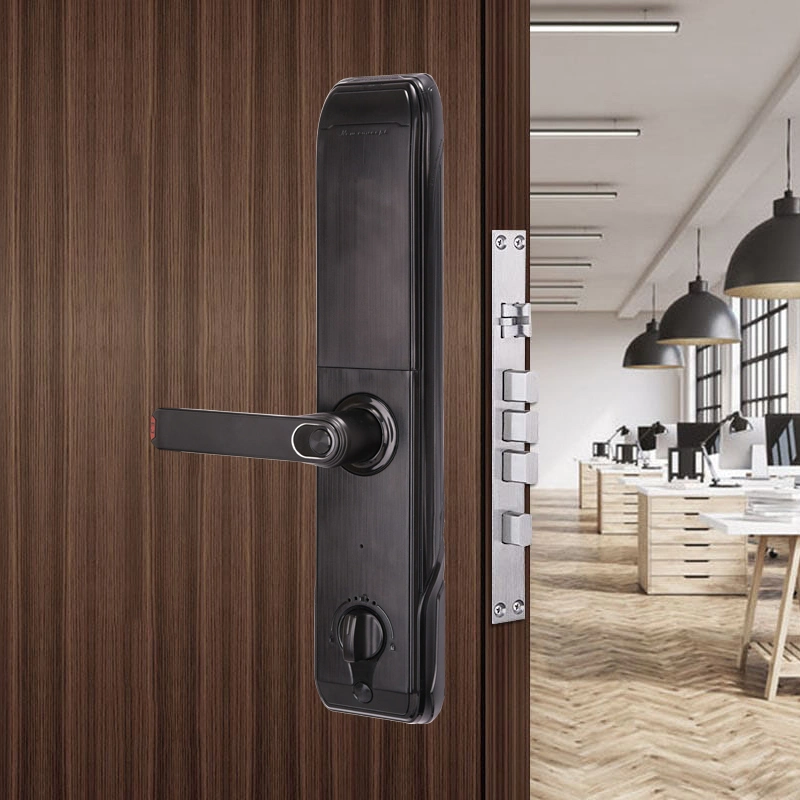 Hardware Handle Password Keyless Entry Code Electronic Fingerprint Smart Door Lock