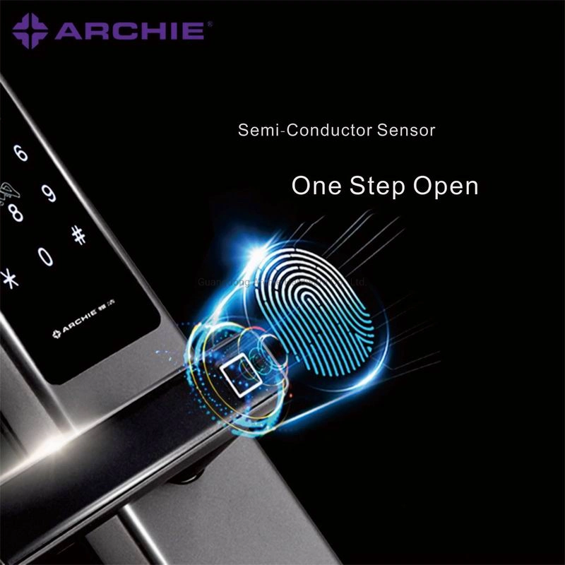 Fast-Open Biometric Fingerprint Password Card Keyless Smart Digital Security Lock