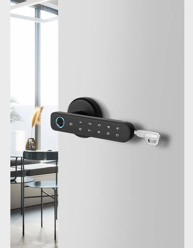 Fingerprint Keyless Entry Door Lock with Handle Smart Biometric Code Wireless Fingerprint Lock