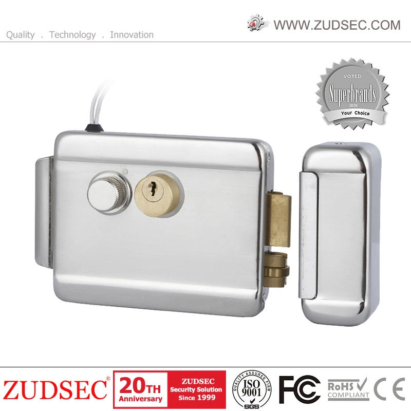 High Quality 12V Double Cylinder Right Open Smart Electric Rim Lock, Entry Door Lock