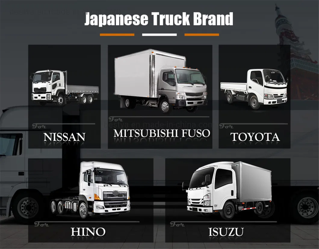 Europe Japanese Auto Car Spare Truck Parts for Isuzu/ Mitsubishi/ Hino/Hyundai/Mercedes-Benz/Volvo/Man/Renault/Daf/Iveco/Toyota, Body Spare Truck Parts