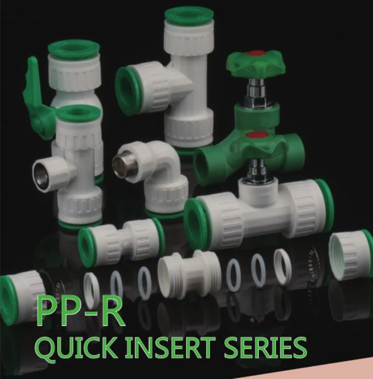 Pex PP PPR Pipe Compression Fitting for Water Irrigation Plumbing System