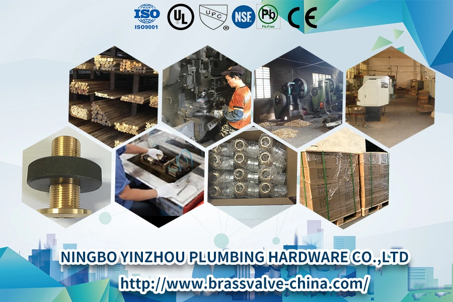 Brass Pipe Straight Coupling Pipe Coupling