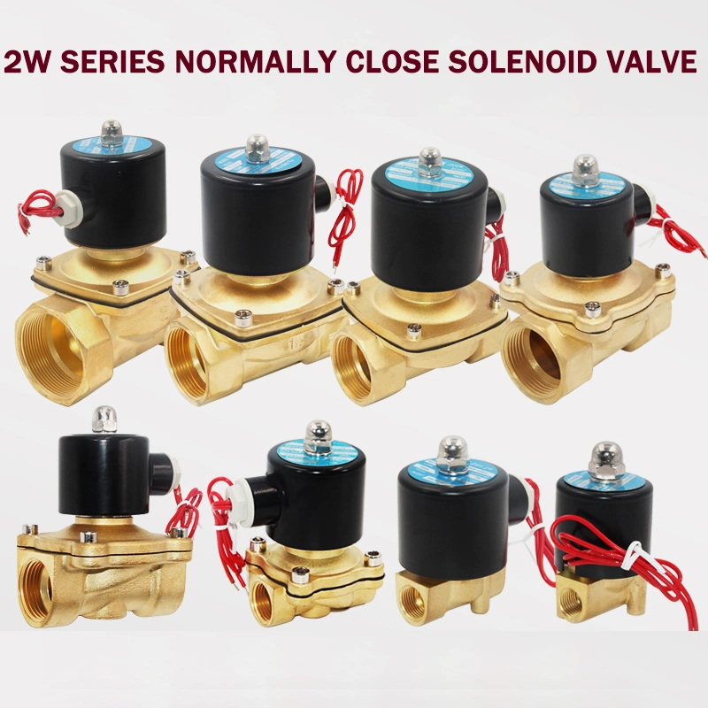 Normally Close Electric Brass 12V 24V 220V for Water Control Two Way Magnetic Water Solenoid Valve 2W-200-20