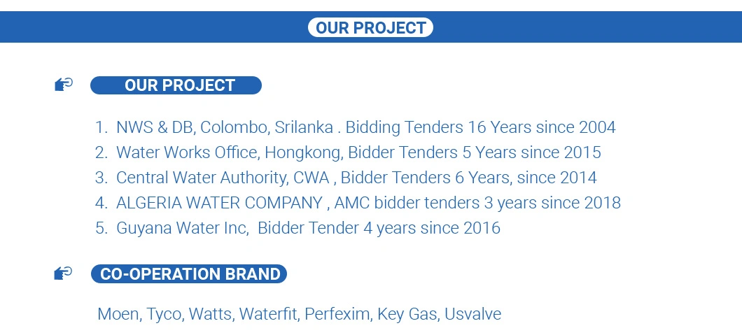 M X C Elbow Brass Compression Fitting for PE Pipe