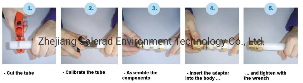 Asb Watermark Certificated Pex Tube Press Brass Fitting for L Hot Cold Water Gas System