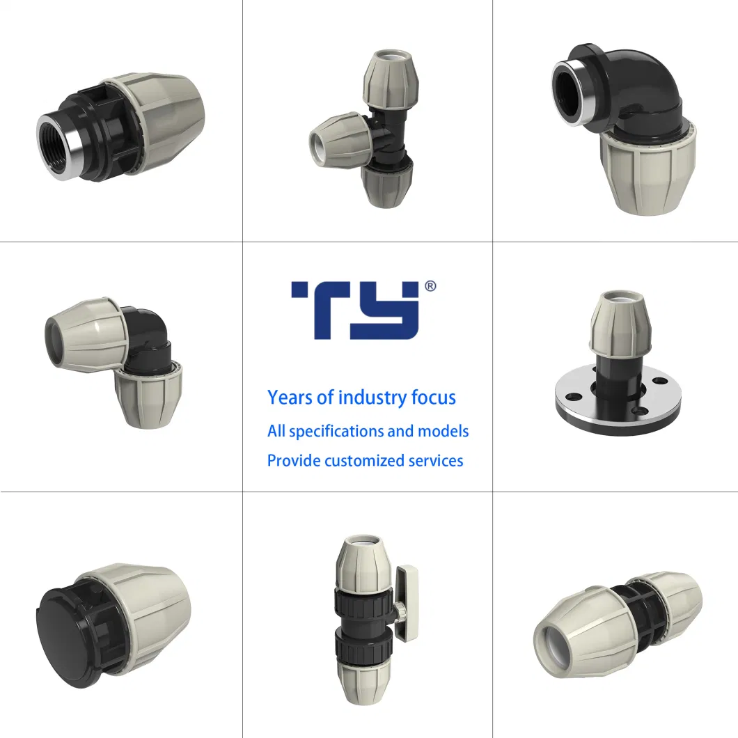 Ty PE HDPE Ture Union Valve Piping Systems PP Compression/Irrigation Fitting Standard Fish Brand