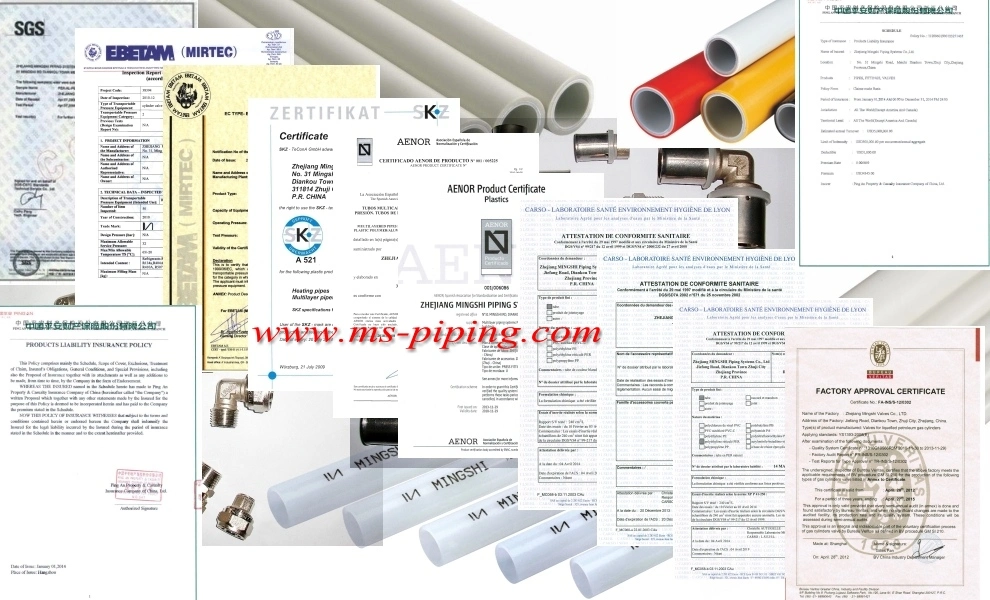 Male Straight Press Fittings for Pex Pipe Wras Aenor Certificate