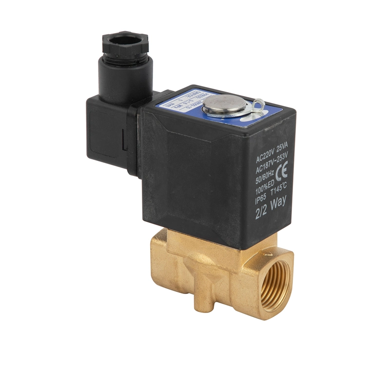 Normally Close Electric Brass 12V 24V 220V for Water Control Two Way Magnetic Water Solenoid Valve 2W-200-20