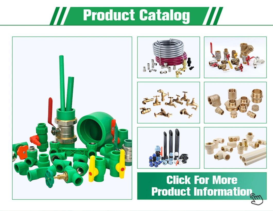 Ifan High Quality Pex Tube Fittings Brass Compression Fitting Pex Fittings