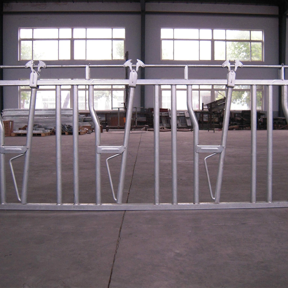 Fully Hot Dipped Galvanized Head Lock for Cattle