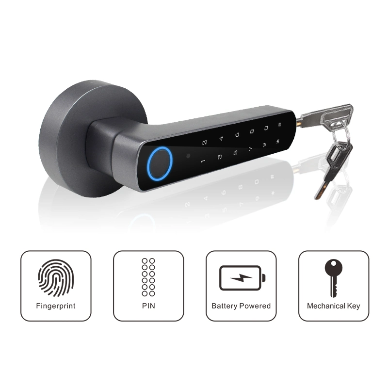 WiFi Bluetooth Tuya APP Keyless Entry Fingerprint Smart Door Lock