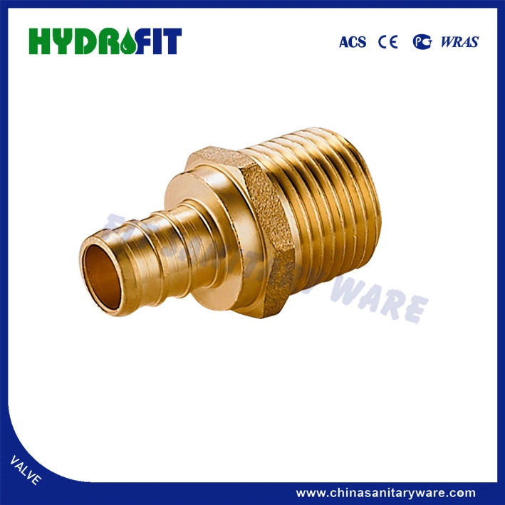 American Market Lead-Free Pex Fittings Male Adapter (Barb X MIPT) (AMK25204)