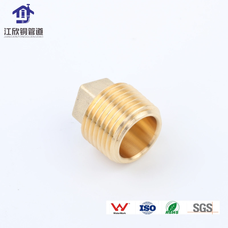 Brass Flange Lock Nut / Cap /Stop End Pipe Fitting