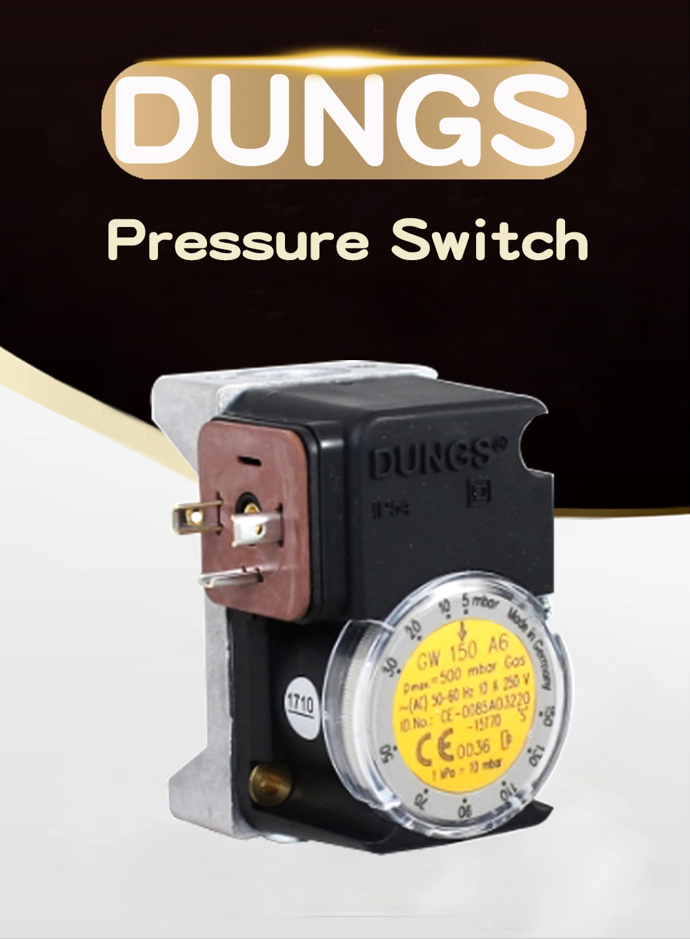 German Dungs Pressure Switch Gw500A6/1 Gas Air Pressure Switch Combustion Machine Accessories