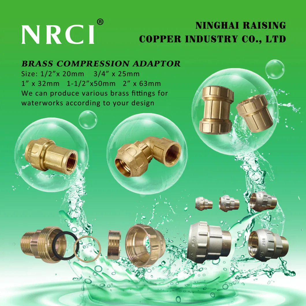 Forged Brass Ball Valve with Non-Return Valve (NRBC-001)