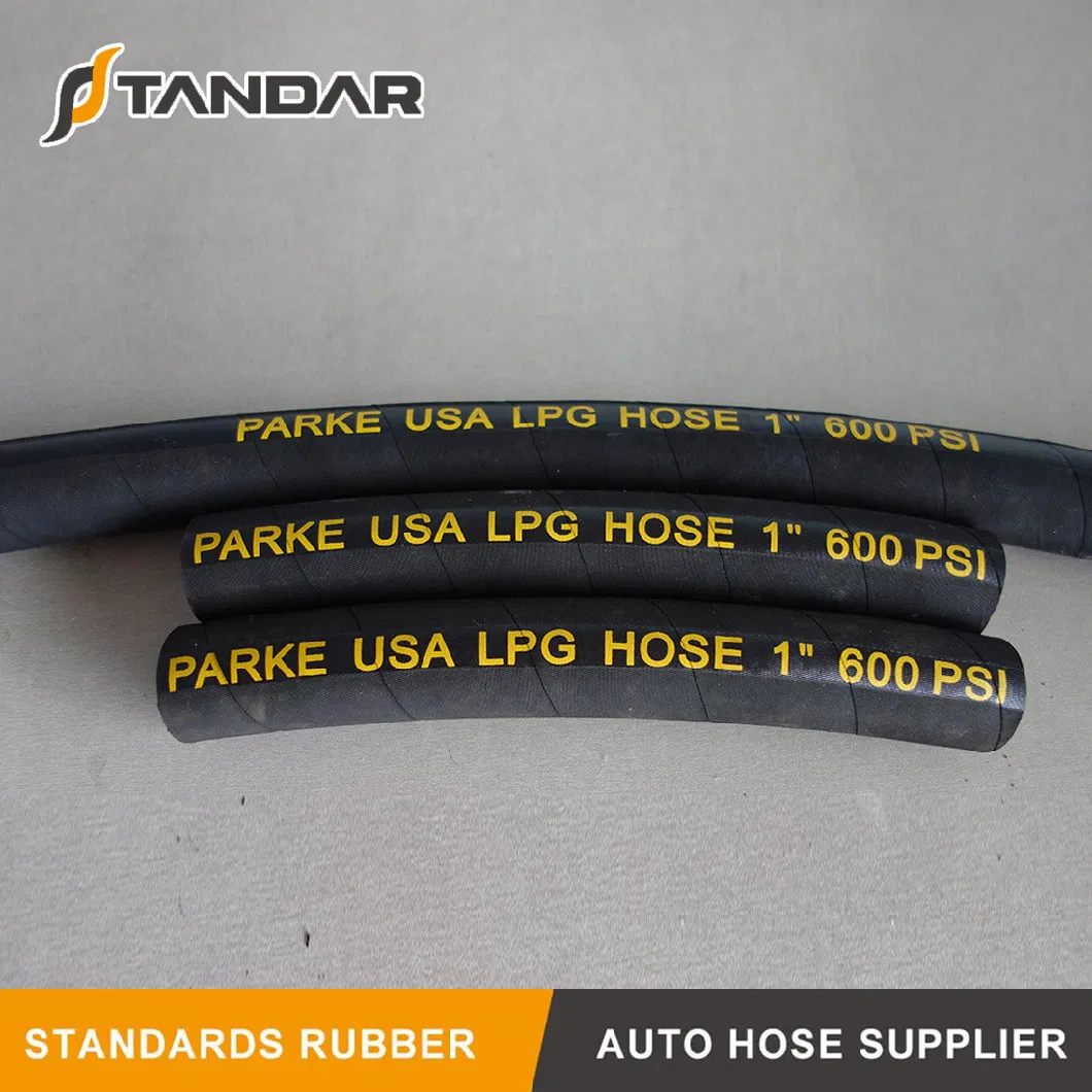 ISO 8789 High Pressure Flexible Rubber Propane Tank Adapter LPG Gas Hoses and Fittings