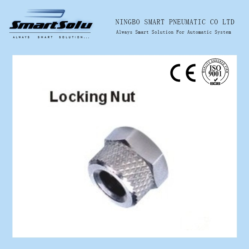 Brass High Pressure Female to Male Quick Push in Pneumatic Pipe Fittings