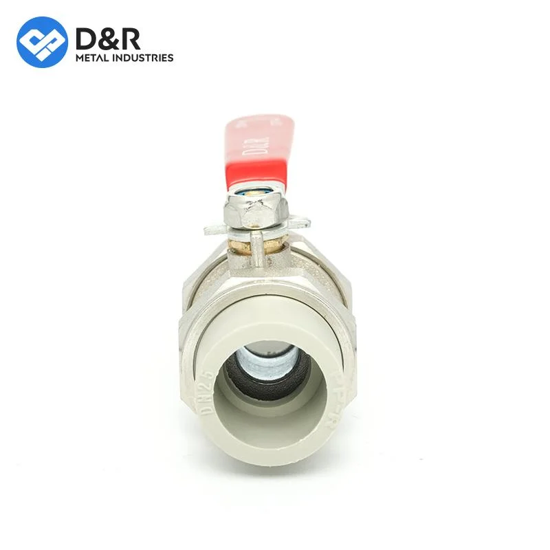 D&R Economical Hot-Selling Models OEM Welding Connected Plastic PPR Union Brass Ball Valve with Red Handle