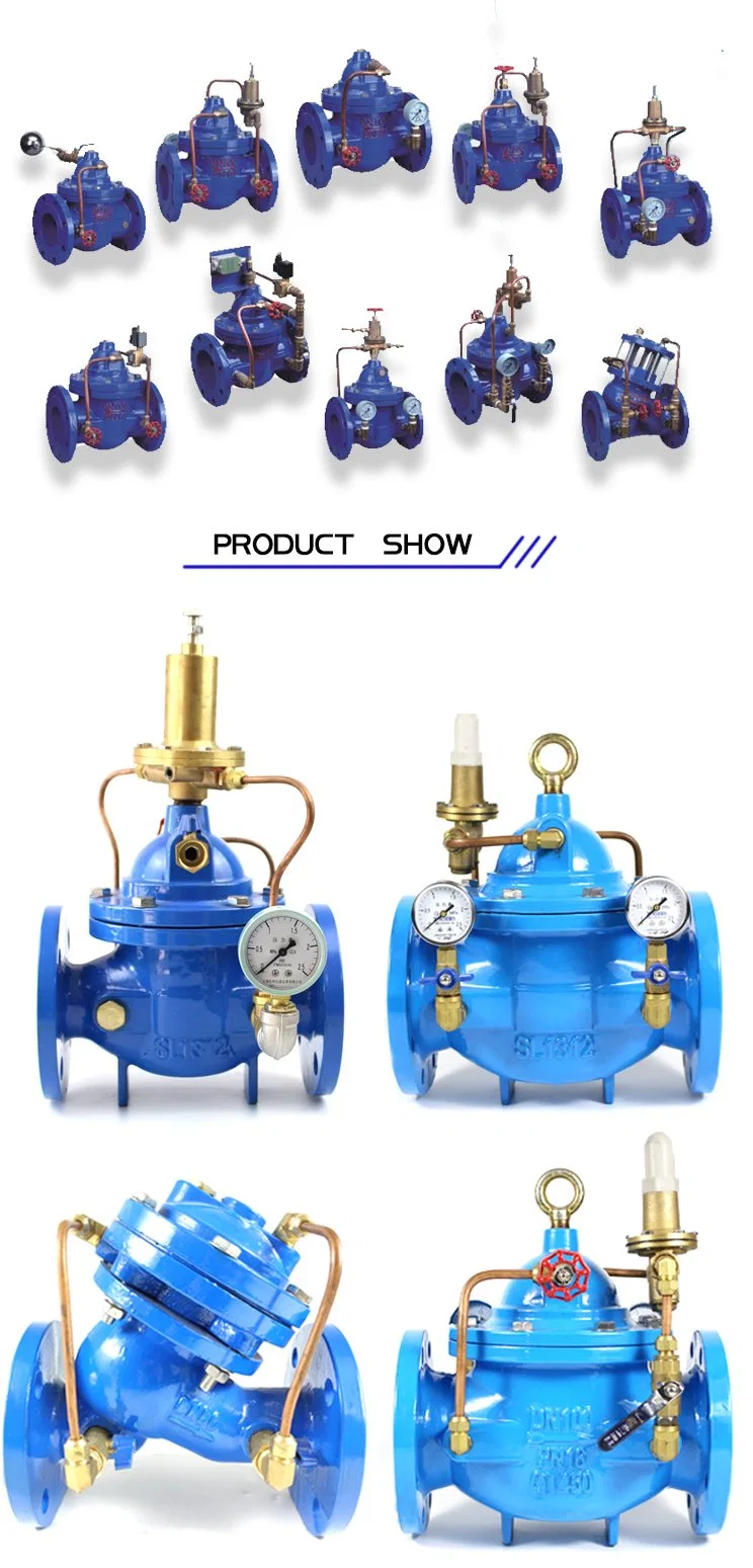 200X 400X 500X Water Flow Control Valve/Check Valve/Non Return Valve/Pressure Control Valve