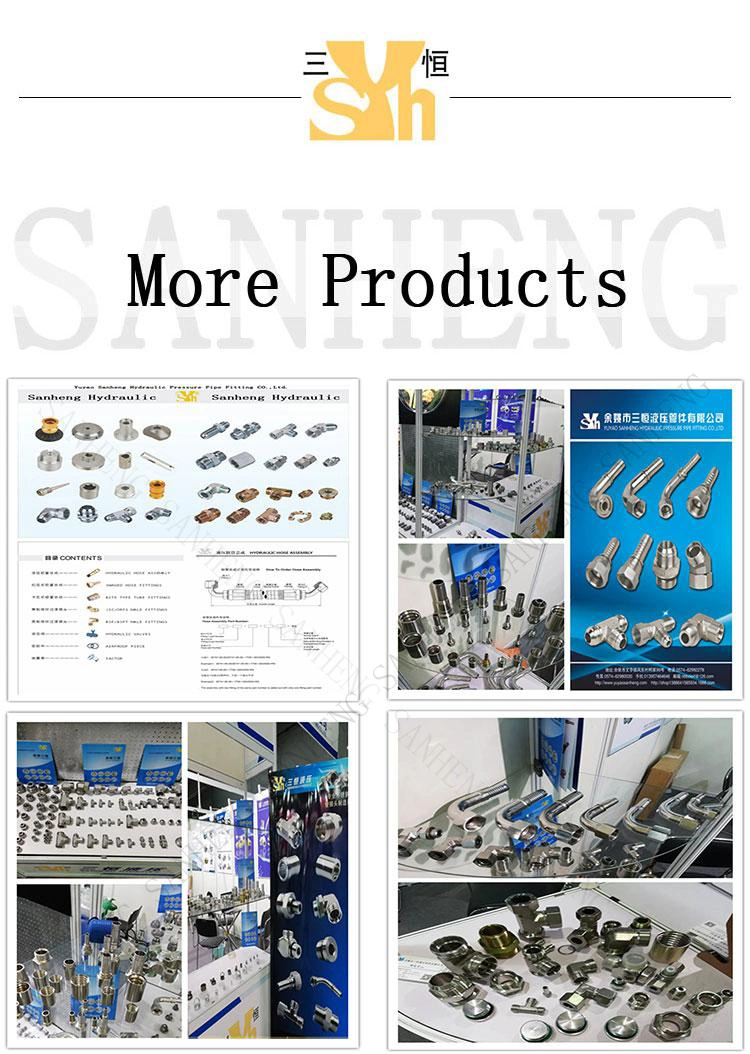 Carbon Steel Hydraulic Metric Bsp NPT Unf Tapered Pressure Test Point Fitting