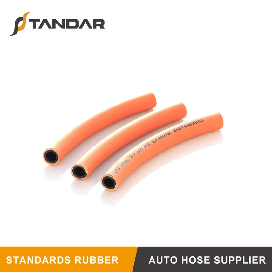 Low Pressure Flexible Coleman Propane Tank Extension Rubber LPG Gas Flex Hoses and Fittings