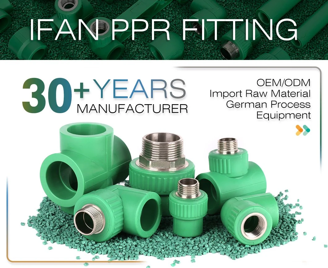 Wholesale Ifan PPR Pipe Elbow Tee Socket Germany Technology DIN 8077/8078 PPR Pipe Fittings