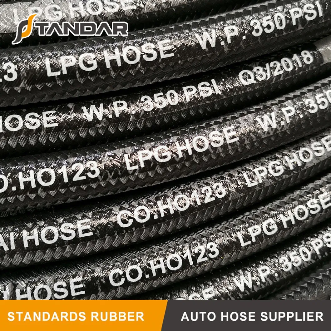 ISO 8789 High Pressure Flexible Rubber Propane Tank Adapter LPG Gas Hoses and Fittings