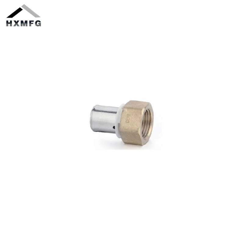 Female Swivel Stainless Steel Straight Brass Pex Press Fitting