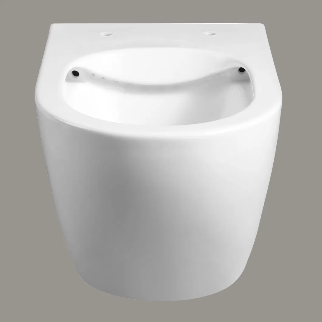 Two Piece Water Closet 3/4.5L Flush Whole Set Nano Ceramic Rimless Toilet