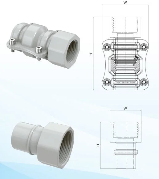 Rapid Air Gas Pipe Fitting with Female Union