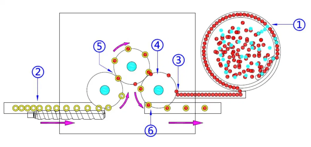 Revolutionary 6-Head Automatic Rotary Grasping and Screw Capping Machine