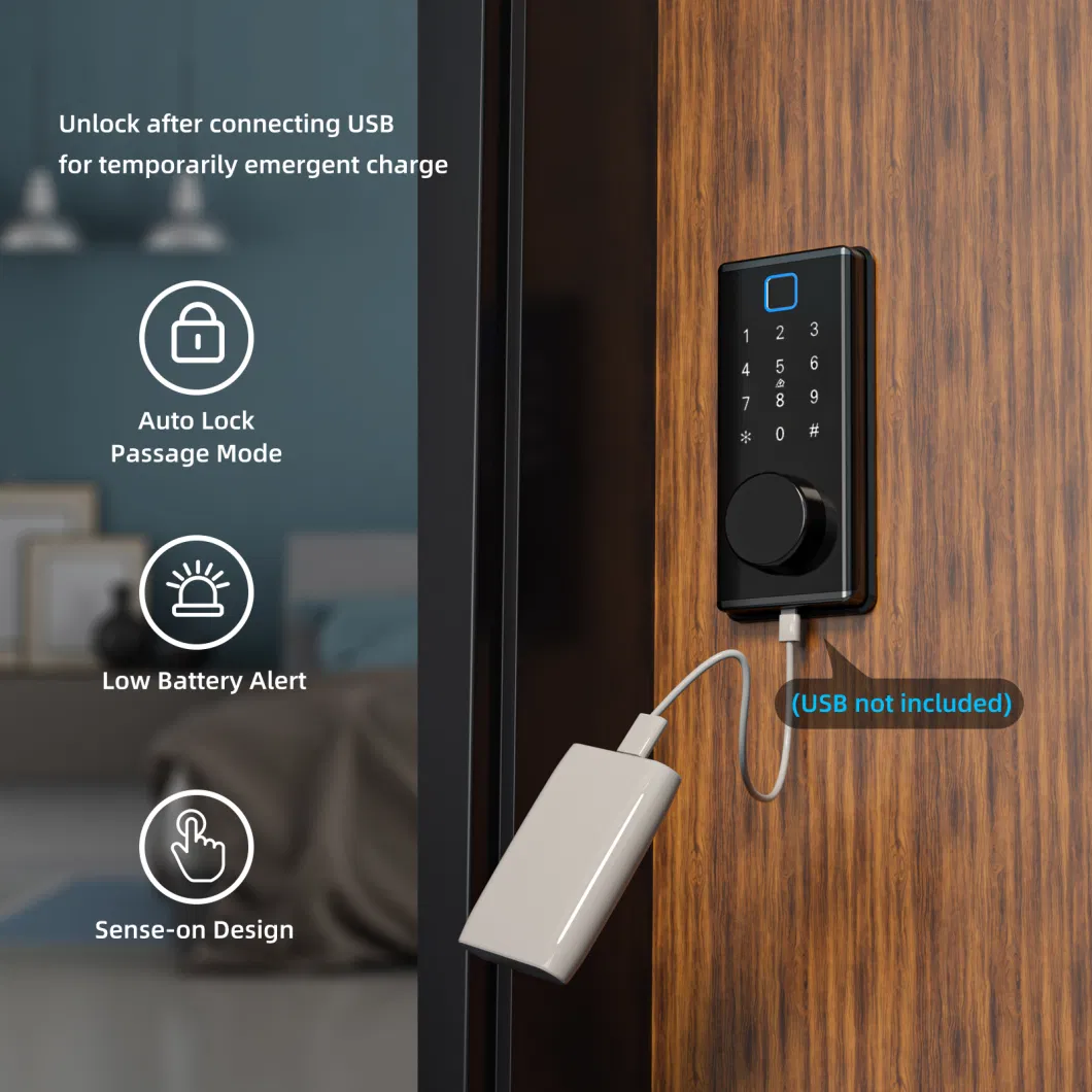 Singapore Popular Automatic Smart Deadbolt Fingerprint Lock for Apartments