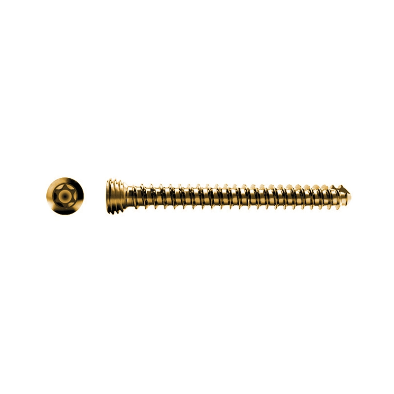 2.4 Selftapping Titanium Alloy Medical Orthopedic Implants Locking Screws