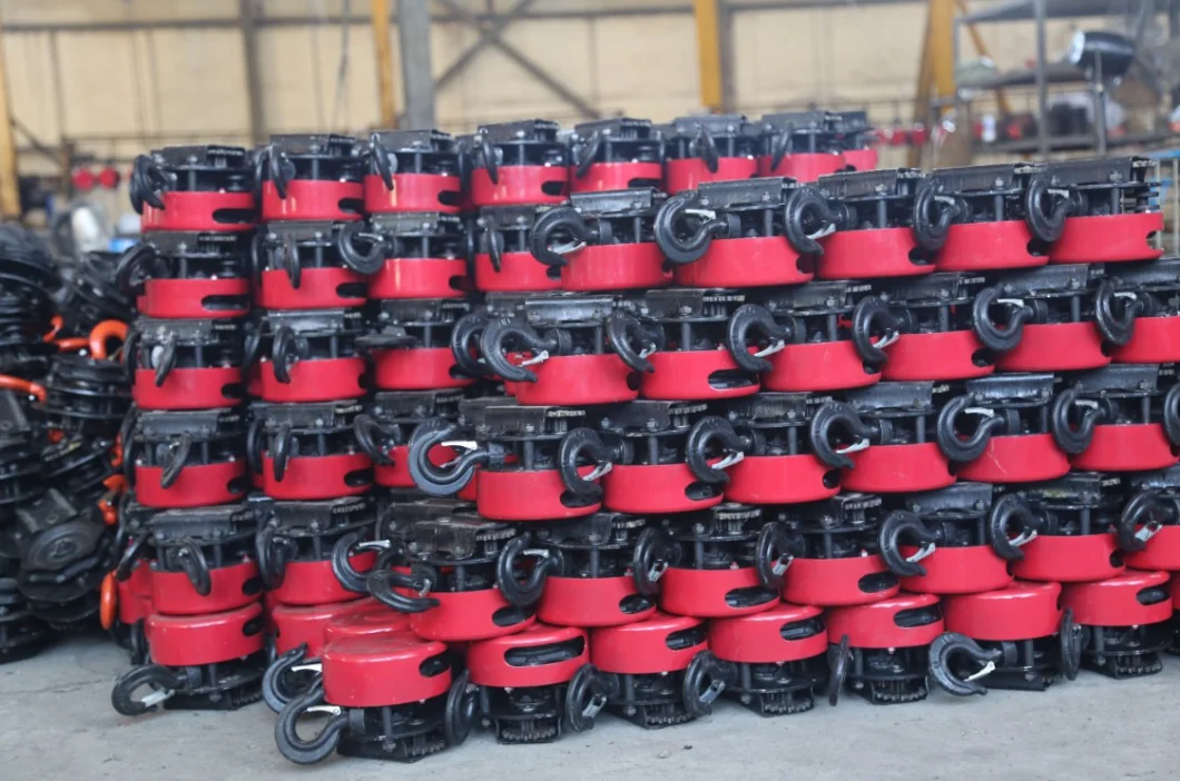 Wholesale 3 Ton 5 Ton Hsz Chain Pulley Block