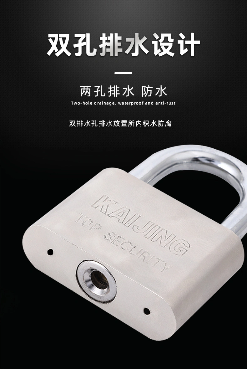 Hot Saling Matte Surface Electroplating Surface Long or Short Schackle Safe Security Door Lock and Iron Padlock