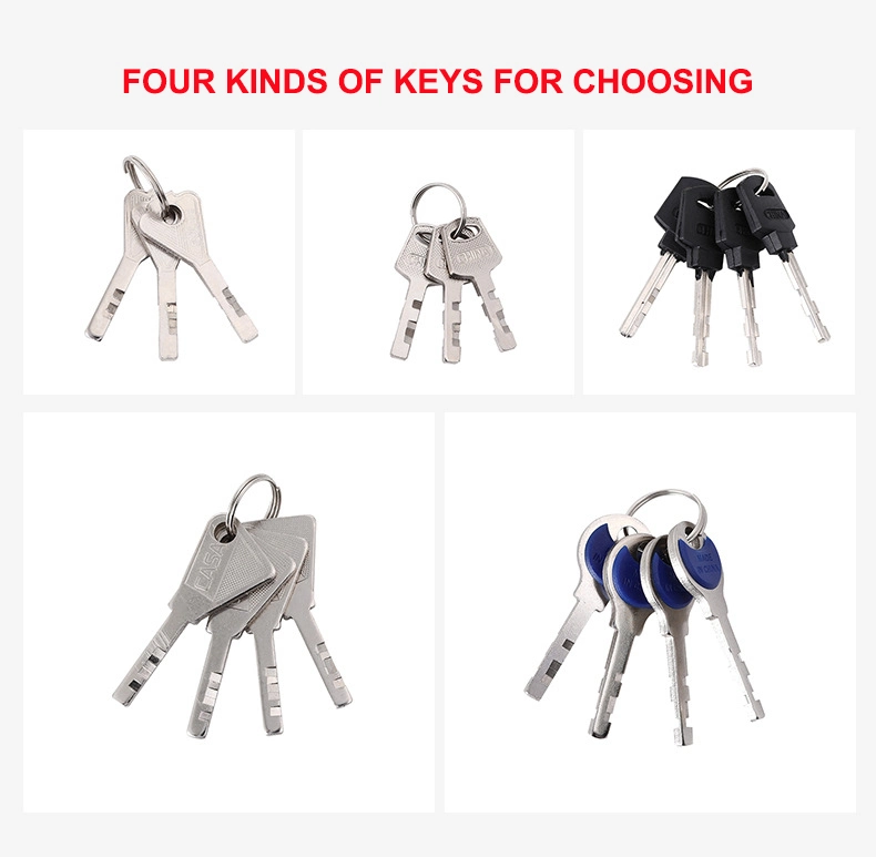 Hot Saling Matte Surface Electroplating Surface Long or Short Schackle Safe Security Door Lock and Iron Padlock