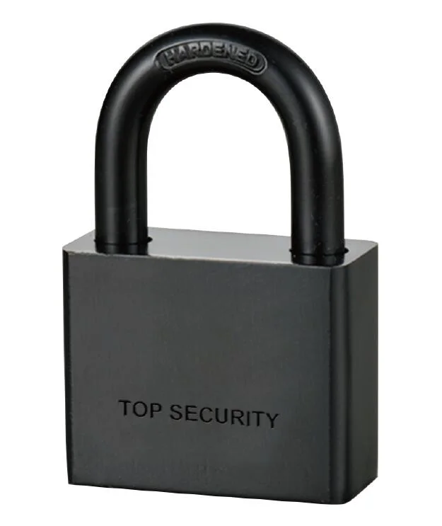 High Security Electrophoresis Black Iron Disc Padlock (123)