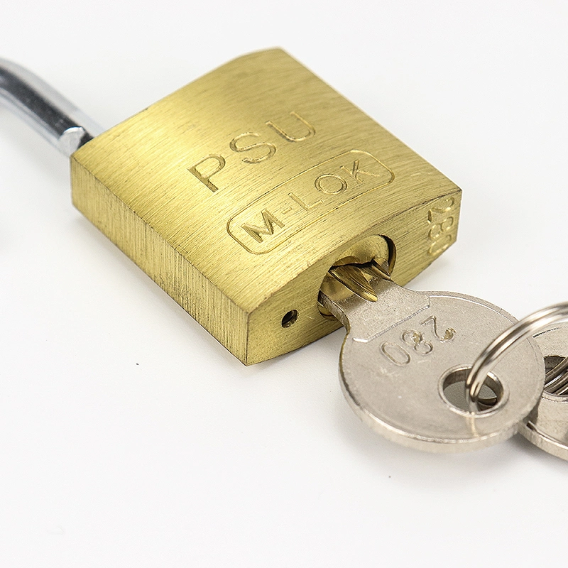 40mm Steel Shackle Safety Brass Padlock with Master Key