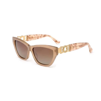 Gd Brand High End in Stock Acetate Sunglasses Sun Glasses Designer Men Women Tac Lenses